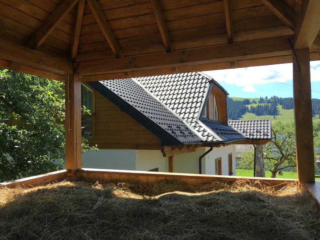 Cottage Familiya Verkhovyna Bagian luar foto